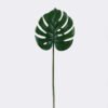 Artificial Plant Monstera single stem GS-46725017CT_4 Artificial Plant 25*25*70cm Monstera single stem GS-46725017CT 2026Apr YeahFlower is one of Chinese leading OEM manufacturers and exporters , supplying the silk flowers, wholesale artificial trees