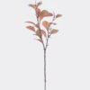 Artificial Plant Peperomia tetraphylla single stem GS-82725004_3 Artificial Plant 16*16*80cm Peperomia tetraphylla single stem GS-82725004 2026May 3,000+ sqm showroom with thousands of artificial flowers, plants & trees ready for global sourcing.