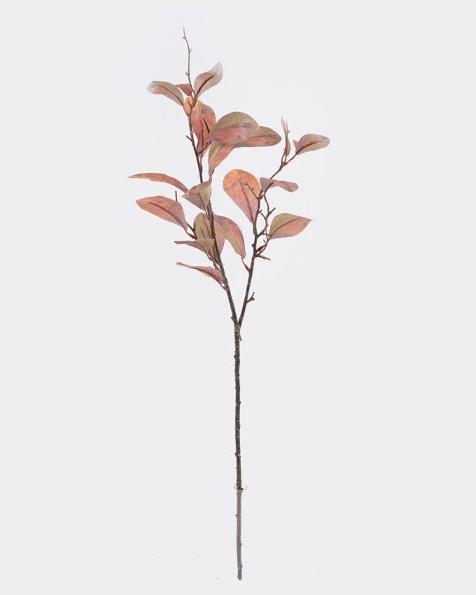 Artificial Plant Peperomia tetraphylla single stem GS-82725004_3 Artificial Plant 16*16*80cm Peperomia tetraphylla single stem GS-82725004 2026May 3,000+ sqm showroom with thousands of artificial flowers, plants & trees ready for global sourcing.