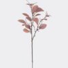 Artificial Plant Peperomia tetraphylla single stem GS-82725004_4 Artificial Plant 16*16*80cm Peperomia tetraphylla single stem GS-82725004 2026May 3,000+ sqm showroom with thousands of artificial flowers, plants & trees ready for global sourcing.
