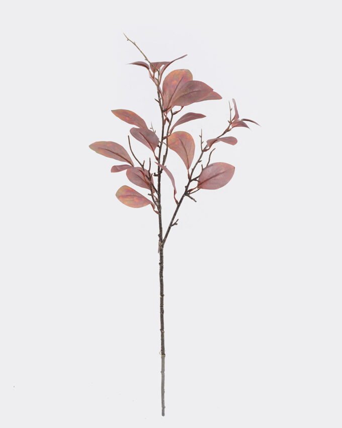 Artificial Plant Peperomia tetraphylla single stem GS-82725004_4 Artificial Plant 16*16*80cm Peperomia tetraphylla single stem GS-82725004 2026May 3,000+ sqm showroom with thousands of artificial flowers, plants & trees ready for global sourcing.
