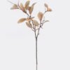 Artificial Plant Peperomia tetraphylla single stem GS-82725004_5 Artificial Plant 16*16*80cm Peperomia tetraphylla single stem GS-82725004 2026May 3,000+ sqm showroom with thousands of artificial flowers, plants & trees ready for global sourcing.
