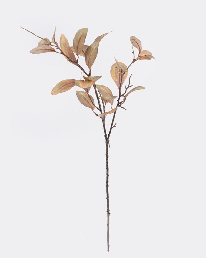 Artificial Plant Peperomia tetraphylla single stem GS-82725004_5 Artificial Plant 16*16*80cm Peperomia tetraphylla single stem GS-82725004 2026May 3,000+ sqm showroom with thousands of artificial flowers, plants & trees ready for global sourcing.