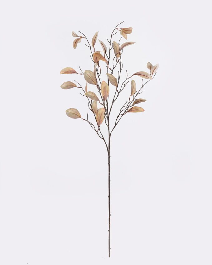 Artificial Plant Peperomia tetraphylla single stem GS-82725006_5 Artificial Plant 20*20*107cm Peperomia tetraphylla single stem GS-82725006 2026May 3,000+ sqm showroom with thousands of artificial flowers, plants & trees ready for global sourcing.