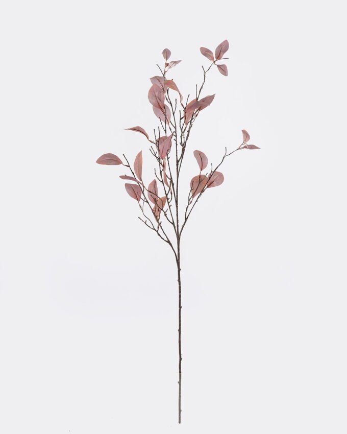 Artificial Plant Peperomia tetraphylla single stem GS-82725006_9 Artificial Plant 20*20*107cm Peperomia tetraphylla single stem GS-82725006 2026May 3,000+ sqm showroom with thousands of artificial flowers, plants & trees ready for global sourcing.