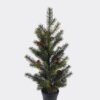 Artificial Plant 30*20*56cm Pine in PP pot GS-82825043 2026Feb YeahFlower is one of Chinese leading OEM manufacturers and exporters , supplying the silk flowers, wholesale artificial trees