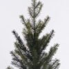 Artificial Plant 30*30*61cm Pine in PP pot GS-82825044R 2026Feb YeahFlower is one of Chinese leading OEM manufacturers and exporters , supplying the silk flowers, wholesale artificial trees