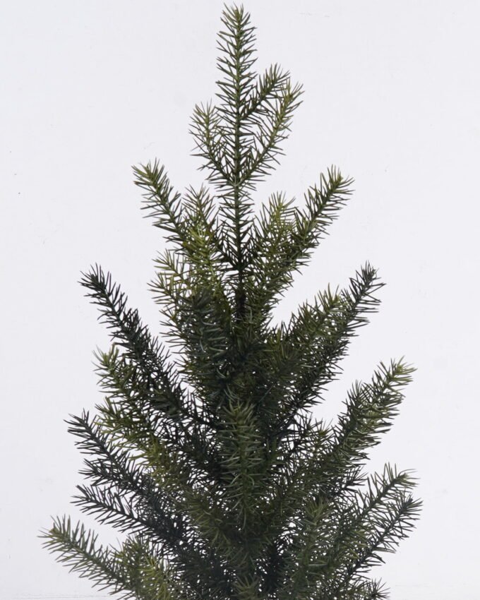 Artificial Plant 30*30*61cm Pine in PP pot GS-82825044R 2026Feb YeahFlower is one of Chinese leading OEM manufacturers and exporters , supplying the silk flowers, wholesale artificial trees