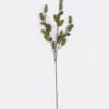 Artificial Plant Pine needle single stem GS-82725024_1 Artificial Plant 16*16*86cm Pine needle single stem GS-82725024 2026Feb YeahFlower is one of Chinese leading OEM manufacturers and exporters , supplying the silk flowers, wholesale artificial trees