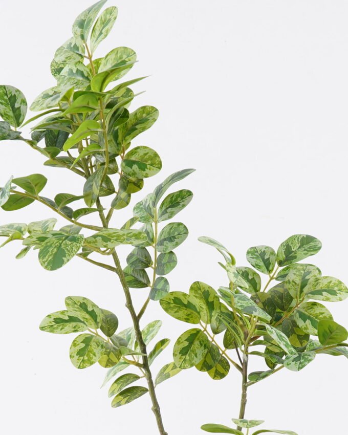 Artificial Plant 25*8*95cm Pistacia weinmannifolia single stem GS-82125008 2026May 3,000+ sqm showroom with thousands of artificial flowers, plants & trees ready for global sourcing.