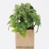 Artificial Plant 11*17cm Plastic eucalyptus in paper bag GS-4660071P12-G1 2026Apr YeahFlower is one of Chinese leading OEM manufacturers and exporters , supplying the silk flowers, wholesale artificial trees
