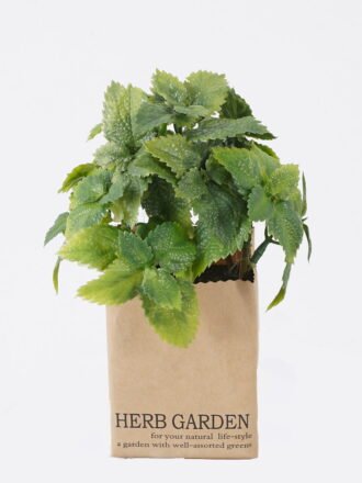 Artificial Plant 15*15*15CM Grass in paper pot GS-46625002 2026Apr 3,000+ sqm showroom with thousands of artificial flowers, plants & trees ready for global sourcing.