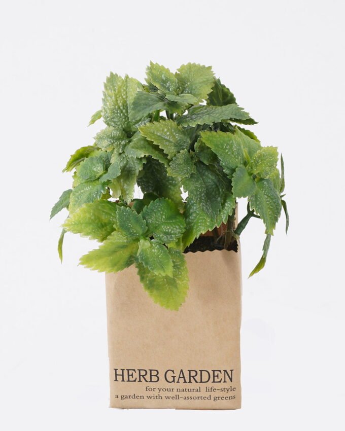 Artificial Plant 11*17cm Plastic eucalyptus in paper bag GS-4660071P12-G1 2026Apr YeahFlower is one of Chinese leading OEM manufacturers and exporters , supplying the silk flowers, wholesale artificial trees