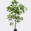 Artificial Plant 55*45*120cm Schefflera octophylla in pp pot/120 lvs GS-70225014 2026Apr YeahFlower is one of Chinese leading OEM manufacturers and exporters , supplying the silk flowers, wholesale artificial trees