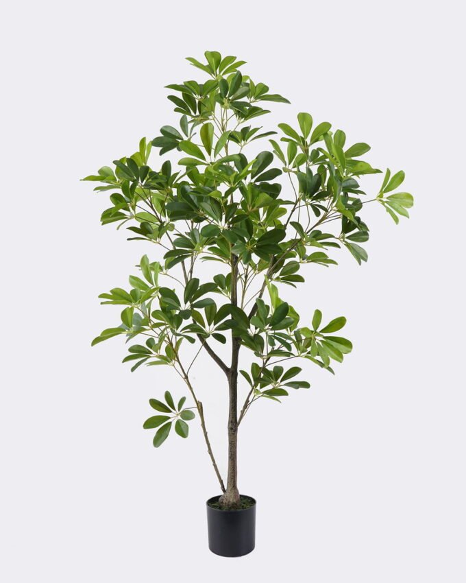 Artificial Plant 55*45*120cm Schefflera octophylla in pp pot/120 lvs GS-70225014 2026Apr YeahFlower is one of Chinese leading OEM manufacturers and exporters , supplying the silk flowers, wholesale artificial trees