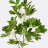 Artificial Plant 32*28*103cm Schefflera octophylla single stem GS-70225001 2026Apr YeahFlower is one of Chinese leading OEM manufacturers and exporters , supplying the silk flowers, wholesale artificial trees