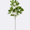 Artificial Plant 32*28*103cm Schefflera octophylla single stem GS-70225001 2026Apr YeahFlower is one of Chinese leading OEM manufacturers and exporters , supplying the silk flowers, wholesale artificial trees