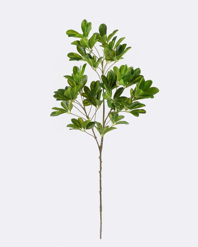 Artificial Plant 32*28*103cm Schefflera octophylla single stem GS-70225001 2026Apr YeahFlower is one of Chinese leading OEM manufacturers and exporters , supplying the silk flowers, wholesale artificial trees