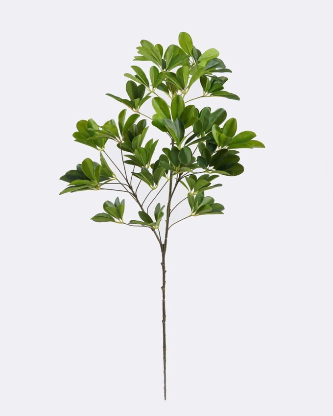 Artificial Plant 32*28*103cm Schefflera octophylla single stem GS-70225001 2026Apr YeahFlower is one of Chinese leading OEM manufacturers and exporters , supplying the silk flowers, wholesale artificial trees