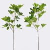 Artificial Plant 28*21*81cm Schefflera octophylla single stem GS-70225002 2026Apr YeahFlower is one of Chinese leading OEM manufacturers and exporters , supplying the silk flowers, wholesale artificial trees