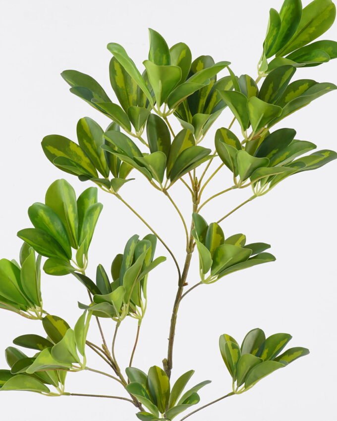 Artificial Plant 28*21*81cm Schefflera octophylla single stem GS-70225002 2026Apr YeahFlower is one of Chinese leading OEM manufacturers and exporters , supplying the silk flowers, wholesale artificial trees