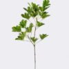 Artificial Plant 28*21*81cm Schefflera octophylla single stem GS-70225002 2026Apr YeahFlower is one of Chinese leading OEM manufacturers and exporters , supplying the silk flowers, wholesale artificial trees