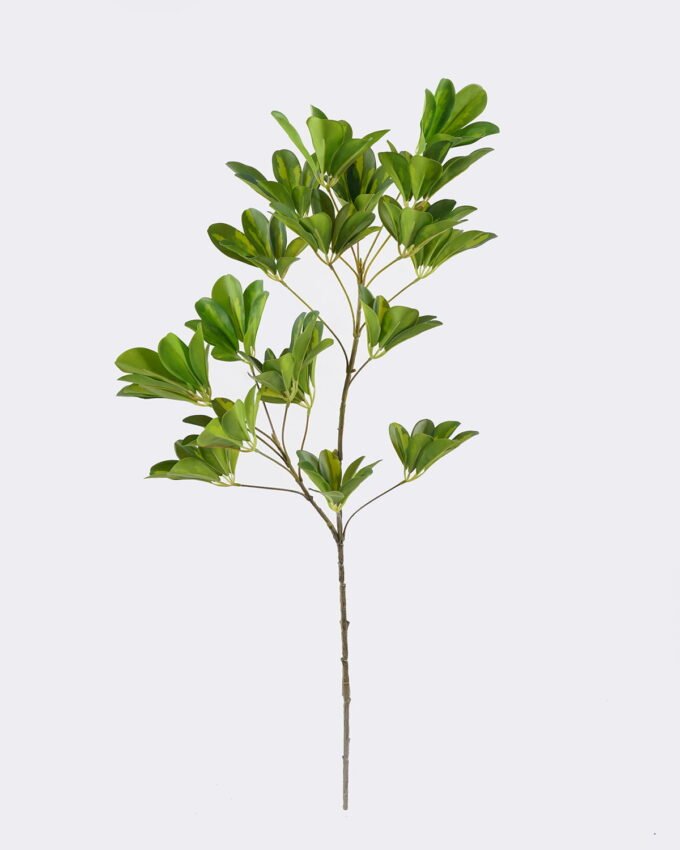 Artificial Plant 28*21*81cm Schefflera octophylla single stem GS-70225002 2026Apr YeahFlower is one of Chinese leading OEM manufacturers and exporters , supplying the silk flowers, wholesale artificial trees