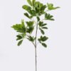 Artificial Plant 28*21*81cm Schefflera octophylla single stem GS-70225002 2026Apr YeahFlower is one of Chinese leading OEM manufacturers and exporters , supplying the silk flowers, wholesale artificial trees