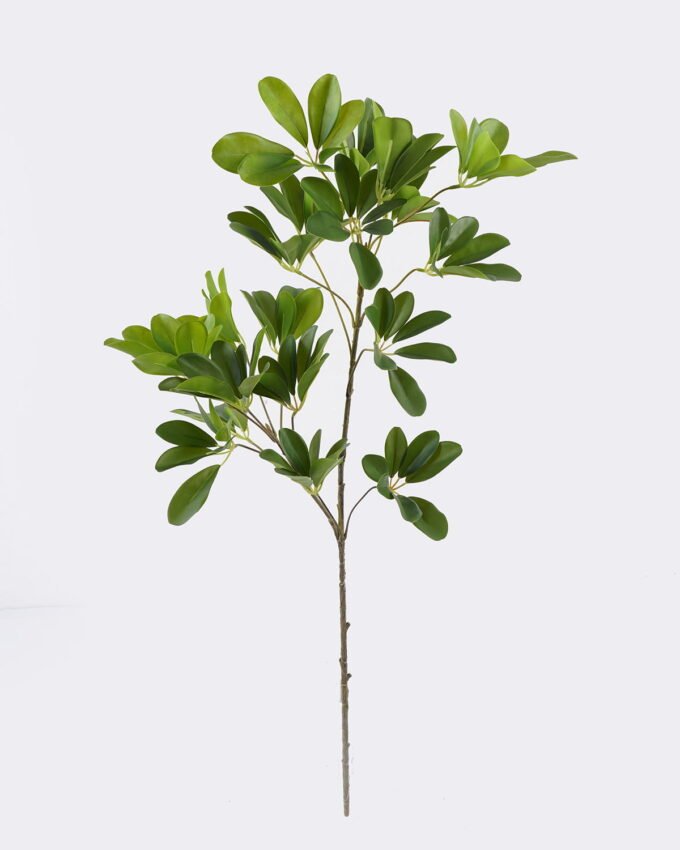 Artificial Plant 28*21*81cm Schefflera octophylla single stem GS-70225002 2026Apr YeahFlower is one of Chinese leading OEM manufacturers and exporters , supplying the silk flowers, wholesale artificial trees