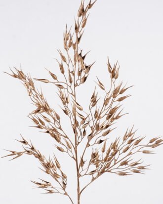 Artificial Plant 20*20*98cm Swallow-wort single stem GS-51625083 2026Apr YeahFlower is one of Chinese leading OEM manufacturers and exporters , supplying the silk flowers, wholesale artificial trees