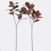 Artificial Plant Yulan Lleaf single stem 17 lvs GS-82125018CT Artificial Plant 20*10*110cm Yulan Lleaf single stem/17 lvs GS-82125018CT 2026May 3,000+ sqm showroom with thousands of artificial flowers, plants & trees ready for global sourcing.