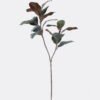 Artificial Plant Yulan Lleaf single stem 17 lvs GS-82125018CT_2 Artificial Plant 20*10*110cm Yulan Lleaf single stem/17 lvs GS-82125018CT 2026May 3,000+ sqm showroom with thousands of artificial flowers, plants & trees ready for global sourcing.