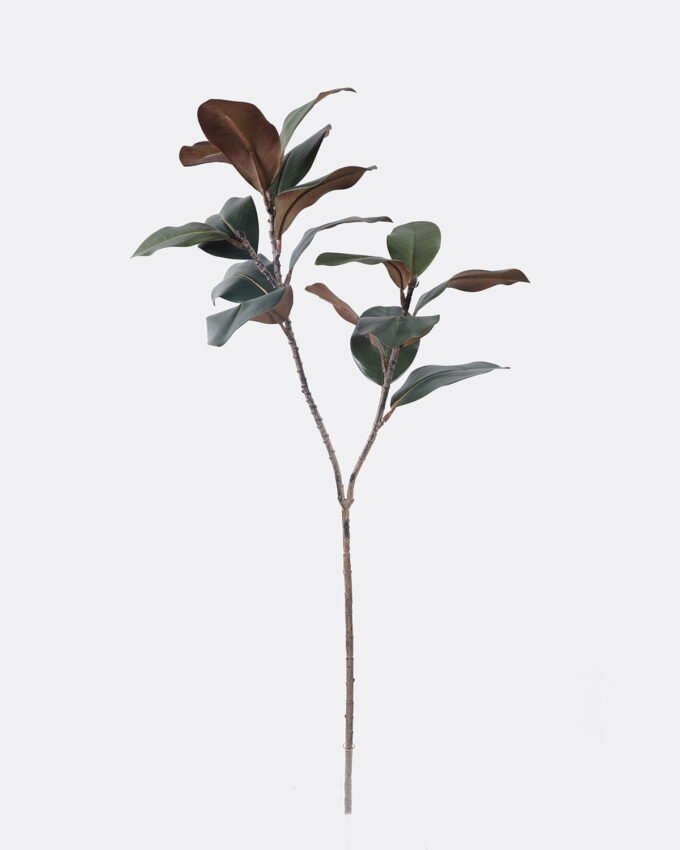 Artificial Plant 20*10*110cm Yulan Lleaf single stem/17 lvs GS-82125018CT 2026May 3,000+ sqm showroom with thousands of artificial flowers, plants & trees ready for global sourcing.