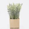 Artificial Plant 11*19CM grass in paper pot GS-4660068P12 2026Apr YeahFlower is one of Chinese leading OEM manufacturers and exporters , supplying the silk flowers, wholesale artificial trees