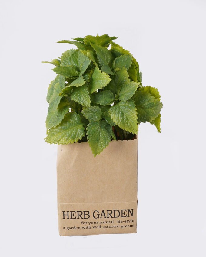 Artificial Plant 11*17CM grass in paper pot GS-4660071P12 2026Apr YeahFlower is one of Chinese leading OEM manufacturers and exporters , supplying the silk flowers, wholesale artificial trees