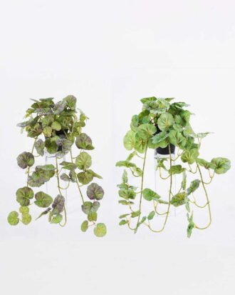 Artificial Table Plants 35*37*45cm Begonia Leaf in PP pot GS-03325156 2026Mar YeahFlower is one of Chinese leading OEM manufacturers and exporters , supplying the silk flowers, wholesale artificial trees Artificial Table Plants 35*37*45cm Begonia Leaf in PP pot GS-03325156 2026Mar YeahFlower is one of Chinese leading OEM manufacturers and exporters , supplying the silk flowers, wholesale artificial trees