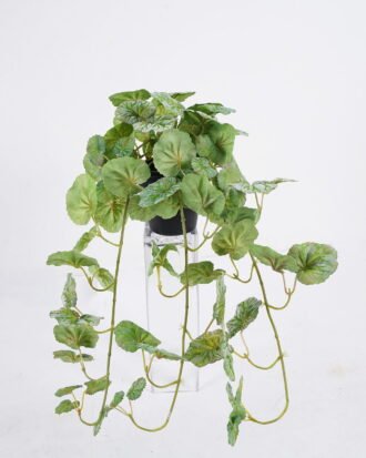 Artificial Table Plants 35*37*45cm Begonia Leaf in PP pot GS-03325156 2026Mar YeahFlower is one of Chinese leading OEM manufacturers and exporters , supplying the silk flowers, wholesale artificial trees Artificial Table Plants 35*37*45cm Begonia Leaf in PP pot GS-03325156 2026Mar YeahFlower is one of Chinese leading OEM manufacturers and exporters , supplying the silk flowers, wholesale artificial trees