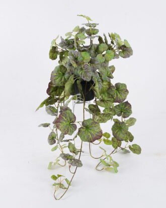 Artificial Table Plants 40*30*73cm Begonia Leaf in PP pot GS-03325158 2026Mar YeahFlower is one of Chinese leading OEM manufacturers and exporters , supplying the silk flowers, wholesale artificial trees Artificial Table Plants 40*30*73cm Begonia Leaf in PP pot GS-03325158 2026Mar YeahFlower is one of Chinese leading OEM manufacturers and exporters , supplying the silk flowers, wholesale artificial trees
