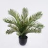 Artificial Table Plants 48*48*39cm Cycas in PP pot GS-03325161 2026Mar YeahFlower is one of Chinese leading OEM manufacturers and exporters , supplying the silk flowers, wholesale artificial trees