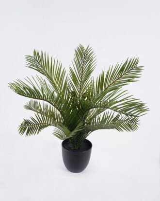 Artificial Table Plants 48*48*39cm Cycas in PP pot GS-03325161 2026Mar YeahFlower is one of Chinese leading OEM manufacturers and exporters , supplying the silk flowers, wholesale artificial trees Artificial Table Plants 48*48*39cm Cycas in PP pot GS-03325161 2026Mar YeahFlower is one of Chinese leading OEM manufacturers and exporters , supplying the silk flowers, wholesale artificial trees