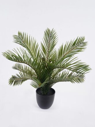 Artificial Table Plants 40*40*33cm Cycas in PP pot GS-03325162 2026Mar 3,000+ sqm showroom with thousands of artificial flowers, plants & trees ready for global sourcing.