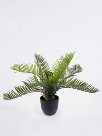 Artificial Table Plants 48*48*39cm Cycas in PP pot GS-03325161 2026Mar 3,000+ sqm showroom with thousands of artificial flowers, plants & trees ready for global sourcing.