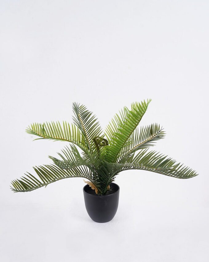 Artificial Table Plants Cycas in PP pot GS-03325162_7 Artificial Table Plants 40*40*33cm Cycas in PP pot GS-03325162 2026Mar YeahFlower is one of Chinese leading OEM manufacturers and exporters , supplying the silk flowers, wholesale artificial trees