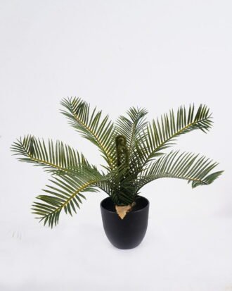 Artificial Table Plants 38*38*29cm Cycas in PP pot GS-03325163 2026Mar YeahFlower is one of Chinese leading OEM manufacturers and exporters , supplying the silk flowers, wholesale artificial trees Artificial Table Plants 38*38*29cm Cycas in PP pot GS-03325163 2026Mar YeahFlower is one of Chinese leading OEM manufacturers and exporters , supplying the silk flowers, wholesale artificial trees