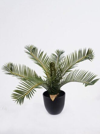 Artificial Table Plants 40*40*33cm Cycas in PP pot GS-03325162 2026Mar 3,000+ sqm showroom with thousands of artificial flowers, plants & trees ready for global sourcing.