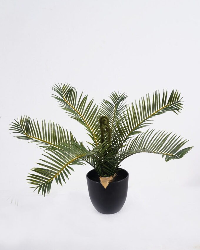 Artificial Table Plants 38*38*29cm Cycas in PP pot GS-03325163 2026Mar YeahFlower is one of Chinese leading OEM manufacturers and exporters , supplying the silk flowers, wholesale artificial trees
