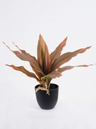 Artificial Table Plants 42*42*36cm Dracaena fragrans in PP pot GS-03325165 2026Mar 3,000+ sqm showroom with thousands of artificial flowers, plants & trees ready for global sourcing.