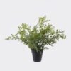 Artificial Table Plants Fern leaf in PP pot GS-48123004R_4 Artificial Table Plants 35*35*35cm Fern leaf in PP pot GS-48123004R 2026Apr YeahFlower is one of Chinese leading OEM manufacturers and exporters , supplying the silk flowers, wholesale artificial trees