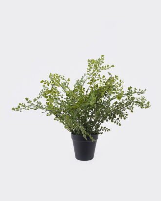 Artificial Table Plants 35*35*35cm Fern leaf in PP pot GS-48123004R 2026Apr YeahFlower is one of Chinese leading OEM manufacturers and exporters , supplying the silk flowers, wholesale artificial trees