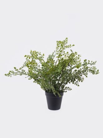 Artificial Table Plants 45*45*40cm Fern leaf in PP pot GS-48123005R 2026Apr 3,000+ sqm showroom with thousands of artificial flowers, plants & trees ready for global sourcing.